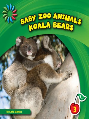 cover image of Koala Bears